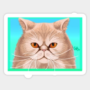 Persian kitty face Sticker